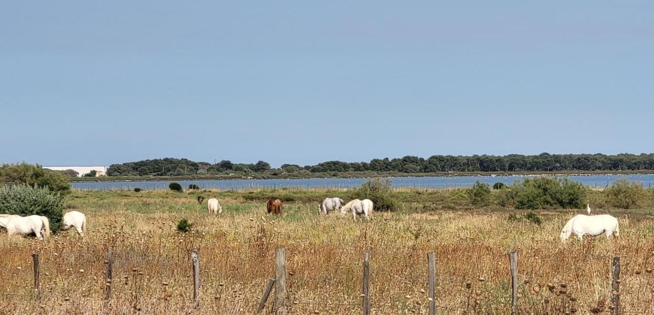 La Cigale De Mer A 100 M De La Plage Et Du Centre Ville Du Grau Du Roi Льо Гро-дю-Роа Екстериор снимка